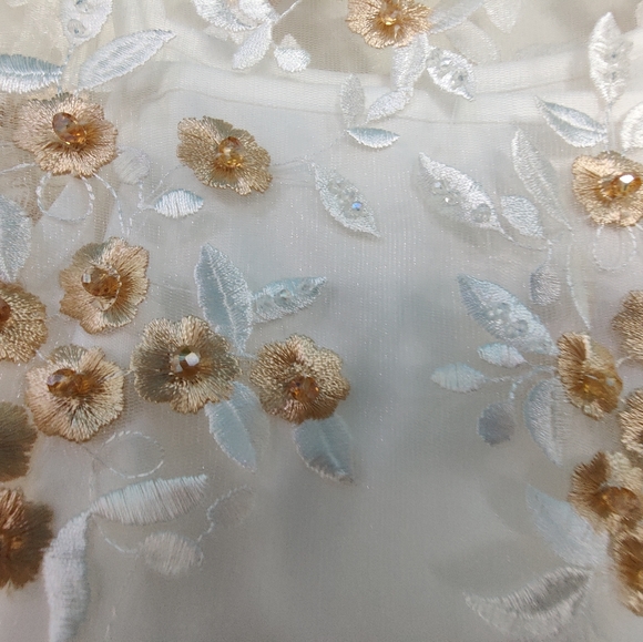 Sheer Beaded Top - Picture 2 of 3